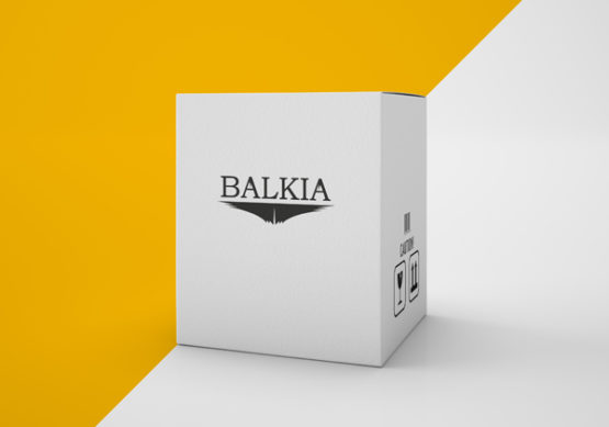 Produit Balkia six pack, boîte de transport avec le logo Balkia dessus, contient 6 bouteilles de slivovic Balkia de 70cl à l'intérieur